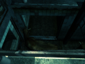 cryostasis 2012-12-01 21-43-33-28.png